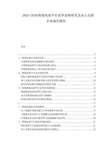 2025-2030跨境電商平臺競爭態(tài)勢研究及本土出海企業(yè)成長路徑