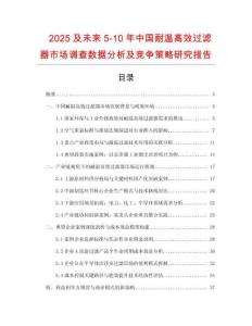 2025及未來5-10年中國耐溫高效過濾器市場調(diào)查數(shù)據(jù)分析及競爭策略研究報告
