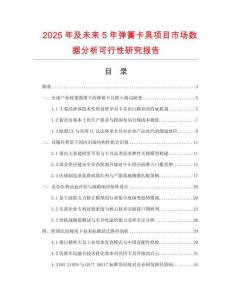 2025年及未來5年彈簧卡具項(xiàng)目市場數(shù)據(jù)分析可行性研究報(bào)告