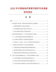 2025年中国链条炉排蒸汽锅炉市场调查研究报告