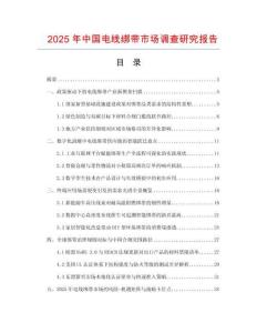 2025年中國電線綁帶市場調查研究報告