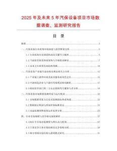 2025年及未來5年汽保設(shè)備項目市場數(shù)據(jù)調(diào)查、監(jiān)測研究報告