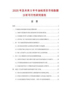 2025年及未来5年牛油枪项目市场数据分析可行性研究报告