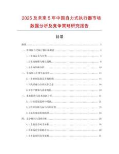2025及未來5年中國自力式執行器市場數據分析及競爭策略研究報告