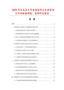 2025年及未來5年普通型單頭電熱管項目市場數(shù)據(jù)調(diào)查、監(jiān)測研究報告