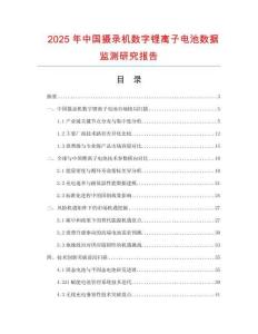 2025年中國攝錄機(jī)數(shù)字鋰離子電池?cái)?shù)據(jù)監(jiān)測研究報(bào)告