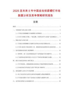 2025至未來5年中國(guó)自攻瑣緊螺釘市場(chǎng)數(shù)據(jù)分析及競(jìng)爭(zhēng)策略研究報(bào)告
