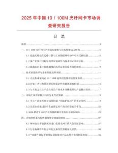 2025年中國10／100M光纖網(wǎng)卡市場調(diào)查研究報告