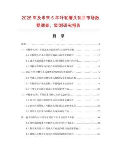 2025年及未來(lái)5年葉輪磨頭項(xiàng)目市場(chǎng)數(shù)據(jù)調(diào)查、監(jiān)測(cè)研究報(bào)告