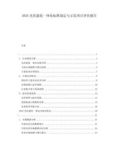 2025光伏建筑一体化标准制定与示范项目评估报告