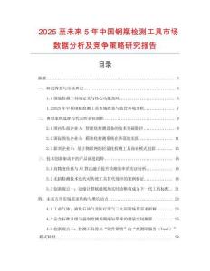 2025至未來5年中國鋼瓶檢測工具市場數據分析及競爭策略研究報告