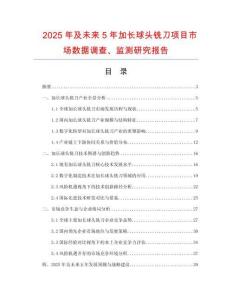 2025年及未來5年加長球頭銑刀項目市場數據調查、監測研究報告