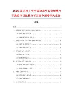 2025及未來5年中國(guó)熱超導(dǎo)回收型蒸汽干燥窯市場(chǎng)數(shù)據(jù)分析及競(jìng)爭(zhēng)策略研究報(bào)告