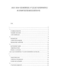 2025-2030可控核聚變托卡馬克真空室特種材料行業市場研究供需現狀及投資評估