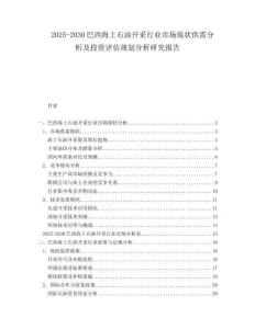 2025-2030巴西海上石油開采行業(yè)市場現(xiàn)狀供需分析及投資評估規(guī)劃分析研究報告
