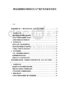 鋰電池隔膜技術(shù)路線對(duì)比與產(chǎn)能擴(kuò)張風(fēng)險(xiǎn)評(píng)估報(bào)告