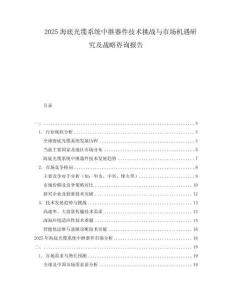 2025海底光纜系統(tǒng)中繼器件技術(shù)挑戰(zhàn)與市場(chǎng)機(jī)遇研究及戰(zhàn)略咨詢報(bào)告