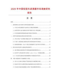 2025年中國輕型車濾清器市場調查研究報告