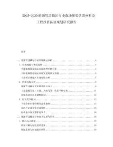 2025-2030能源管道輸運行業(yè)市場現(xiàn)狀供需分析及工程投資拓展規(guī)劃研究報告