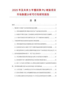 2025年及未來(lái)5年慢回彈PU椅墊項(xiàng)目市場(chǎng)數(shù)據(jù)分析可行性研究報(bào)告