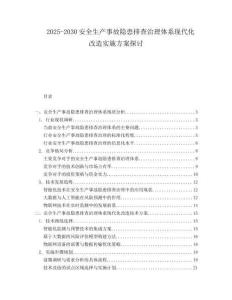 2025-2030安全生產事故隱患排查治理體系現代化改造實施方案探討
