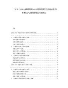 2025-2030金融科技行業(yè)市場(chǎng)深度研究及商業(yè)化運(yùn)作模式與投資價(jià)值評(píng)議報(bào)告