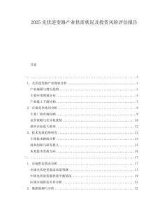 2025光伏逆變器產(chǎn)業(yè)供需狀況及投資風(fēng)險評估報告