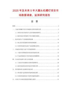 2025年及未來5年大扁頭機(jī)螺釘項(xiàng)目市場(chǎng)數(shù)據(jù)調(diào)查、監(jiān)測(cè)研究報(bào)告