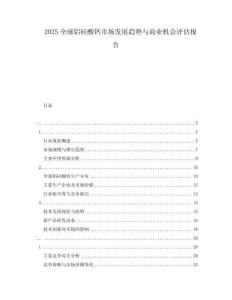 2025全球鋁硅酸鈣市場發(fā)展趨勢與商業(yè)機(jī)會評估報告