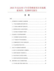 2025年及未來(lái)5年吊帶睡裙項(xiàng)目市場(chǎng)數(shù)據(jù)調(diào)查、監(jiān)測(cè)研究報(bào)告