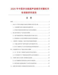 2025年中国多功能超声波碌牙折膜机市场调查研究报告