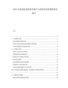 2025光伏制氫系統(tǒng)效率提升與綠氫經(jīng)濟性測算研究報告