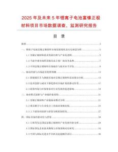2025年及未来5年锂离子电池富镍正极材料项目市场数据调查、监测研究报告