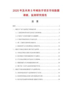 2025年及未来5年椅扶手项目市场数据调查、监测研究报告