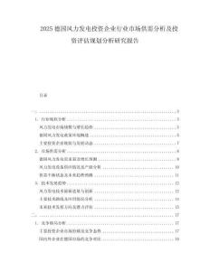 2025德國風(fēng)力發(fā)電投資企業(yè)行業(yè)市場供需分析及投資評估規(guī)劃分析研究報(bào)告