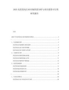 2025光伏發(fā)電行業(yè)市場供需分析與項(xiàng)目投資可行性研究報(bào)告