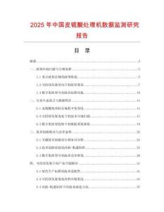 2025年中國皮輥酸處理機數據監測研究報告