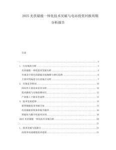 2025光伏儲(chǔ)能一體化技術(shù)突破與電站投資回報(bào)周期分析報(bào)告