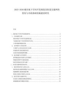 2025-2030城市地下空间开发规划及轨道交通网络优化与市政基础设施建设研究