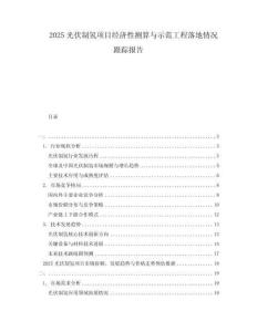2025光伏制氢项目经济性测算与示范工程落地情况跟踪报告