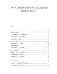 2025人工智能醫(yī)療影像分析技術(shù)應(yīng)用方案挖掘及輔助診斷系統(tǒng)開發(fā)報(bào)告