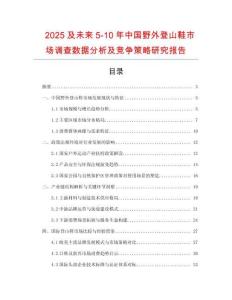 2025及未來5-10年中國野外登山鞋市場調查數據分析及競爭策略研究報告