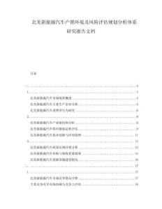 北美新能源汽車產(chǎn)銷環(huán)境及風(fēng)險(xiǎn)評(píng)估規(guī)劃分析體系研究報(bào)告文檔