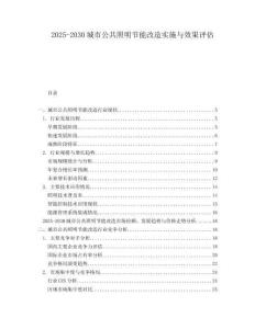 2025-2030城市公共照明节能改造实施与效果评估