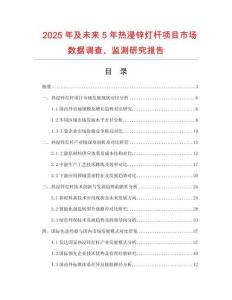 2025年及未來(lái)5年熱浸鋅燈桿項(xiàng)目市場(chǎng)數(shù)據(jù)調(diào)查、監(jiān)測(cè)研究報(bào)告