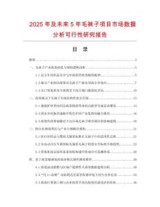 2025年及未來5年毛襪子項目市場數據分析可行性研究報告