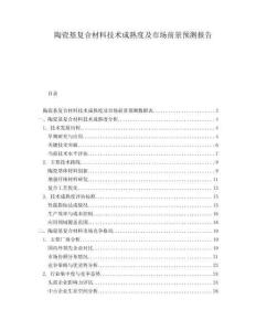 陶瓷基復(fù)合材料技術(shù)成熟度及市場前景預(yù)測報告
