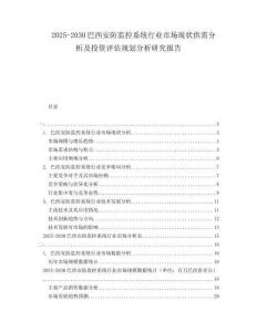 2025-2030巴西安防监控系统行业市场现状供需分析及投资评估规划分析研究报告