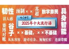 2026届高考作文素材：2025年十大流行语