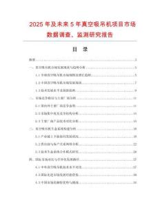 2025年及未來5年真空吸吊機(jī)項(xiàng)目市場數(shù)據(jù)調(diào)查、監(jiān)測研究報(bào)告